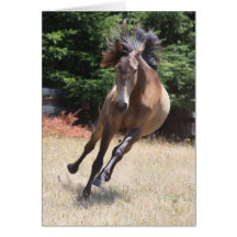 Tarjeta en blanco de caballo Lusitano en libertad
