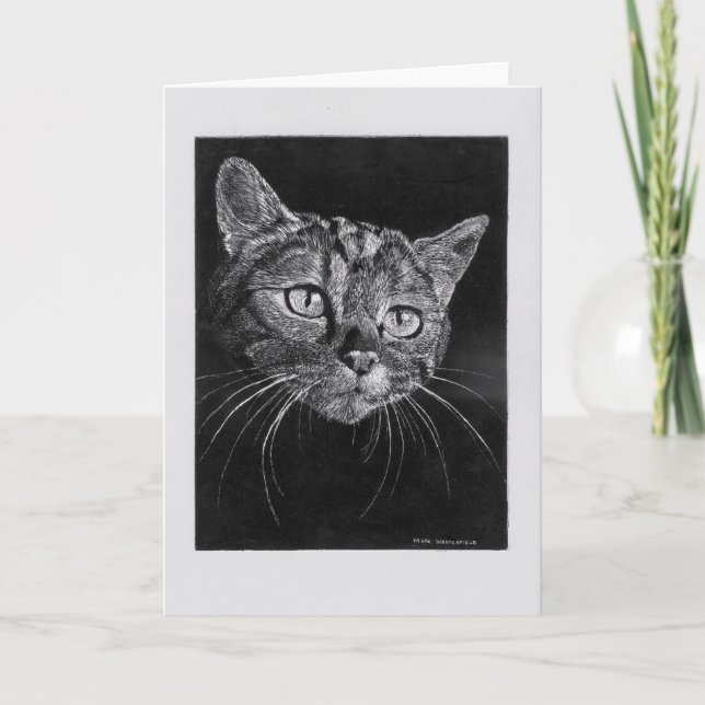 Tarjeta en blanco de Cara de Gato. (Anverso)