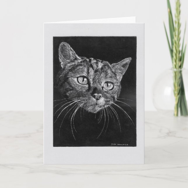 Tarjeta en blanco de Cara de gato. (Anverso)
