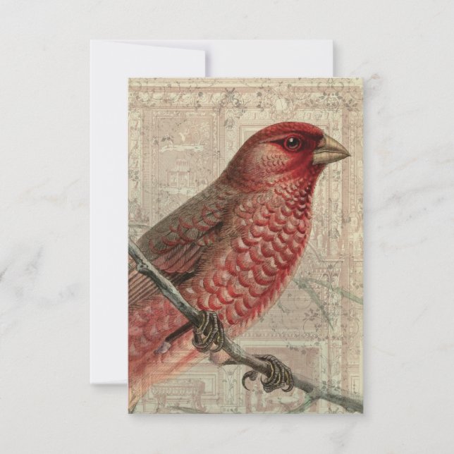 Tarjeta en blanco de collage de pájaros de época (Anverso)