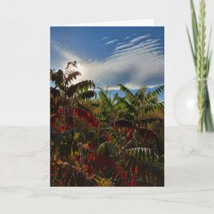 Tarjeta en blanco de colores de otoño canadienses