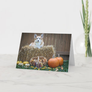 Tarjeta en blanco de Corgi de Otoño/Halloween