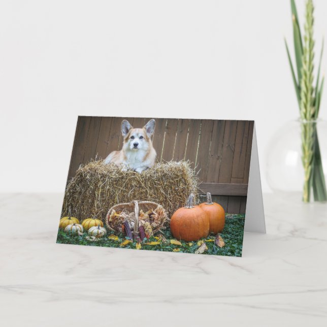 Tarjeta en blanco de Corgi de Otoño/Halloween (Anverso)