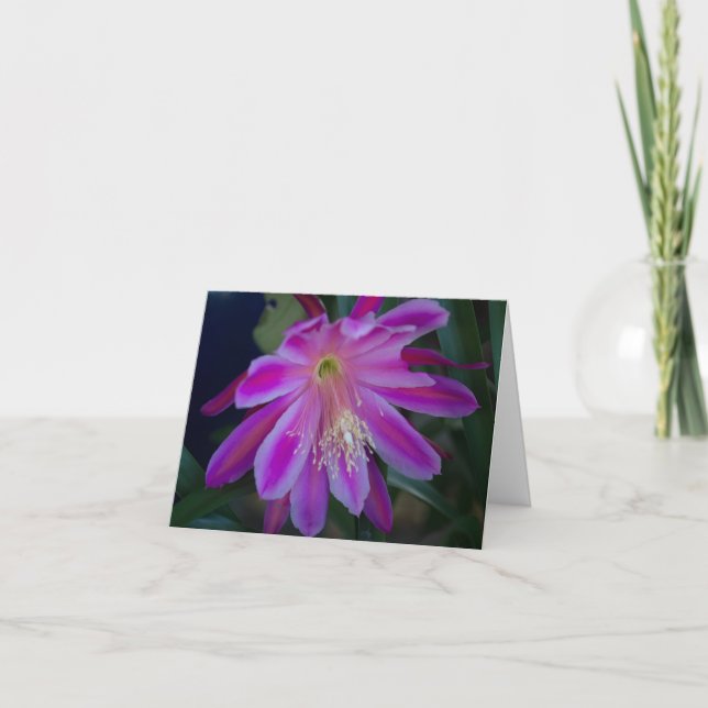 Tarjeta en blanco de epífilo (Anverso)