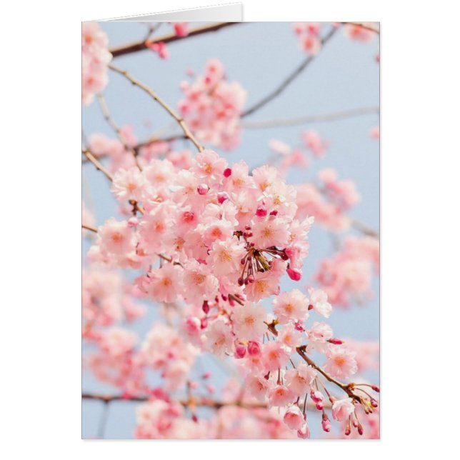 Tarjeta en blanco de flor de primavera (Frente)