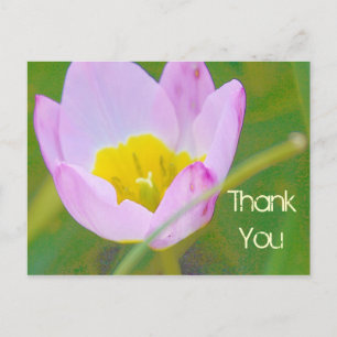 tarjeta en blanco de flor de tulipán gracias