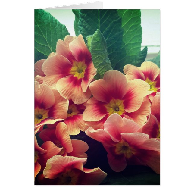 Tarjeta en blanco de flor naranja (Frente)