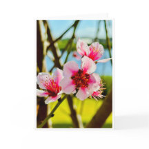 Tarjeta en Blanco de Flores de Primavera