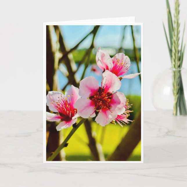 Tarjeta en Blanco de Flores de Primavera (Anverso)