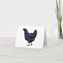 Tarjeta en blanco de gallina de roca con barra