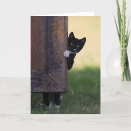 Tarjeta en blanco de gato: simpatía, gracias, cump