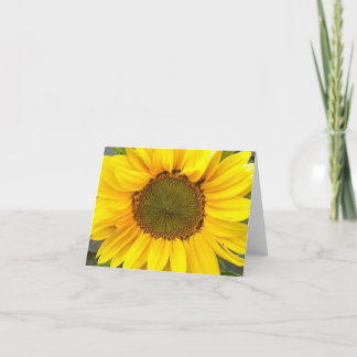 Tarjeta en blanco de girasol