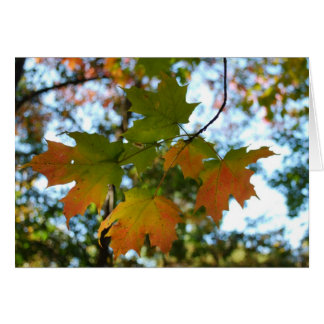 Tarjeta en blanco de hoja de cálculo