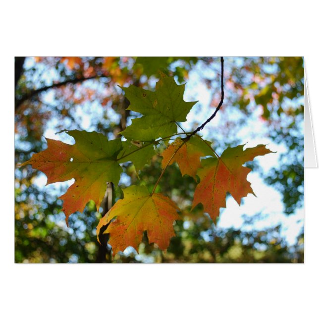 Tarjeta en blanco de hoja de cálculo (Anverso (Horizontal))