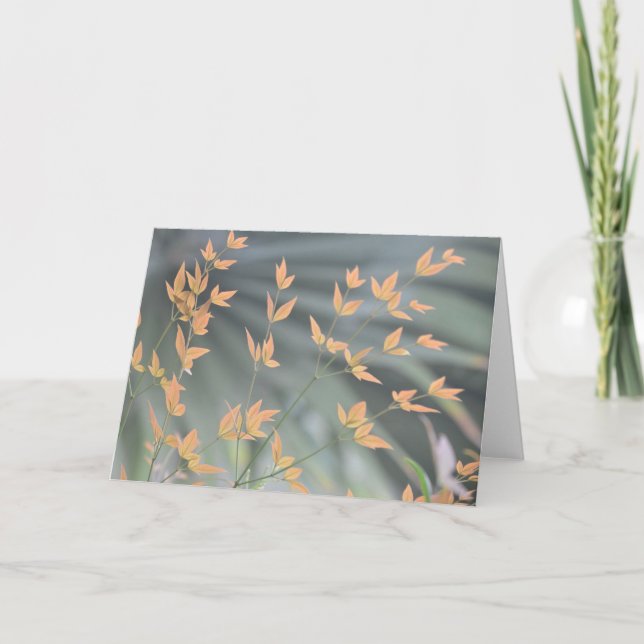 tarjeta en blanco de hojas de gracia (Anverso)