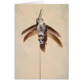 Tarjeta en blanco de Hummingbird por Andrew Denman