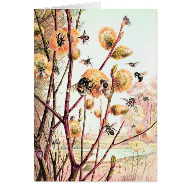 Tarjeta en blanco de ilustracion vintage de abeja  (Frente)