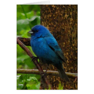 Tarjeta en blanco de indigo Bunting