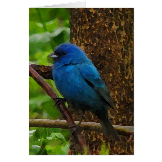 Tarjeta en blanco de indigo Bunting (Frente)