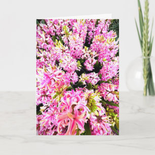 Tarjeta en blanco de Jacinto de Primavera