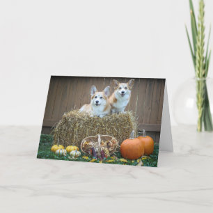 Tarjeta en blanco de la caída del Corgi