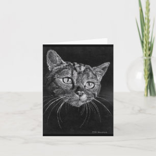 Tarjeta en blanco de la cara del gato