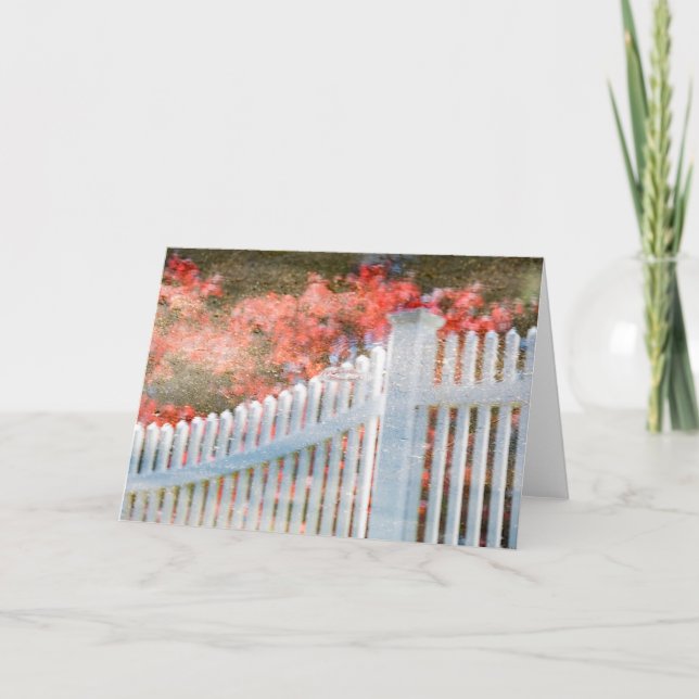 Tarjeta en blanco de la cerca líquida de la vida (Anverso)