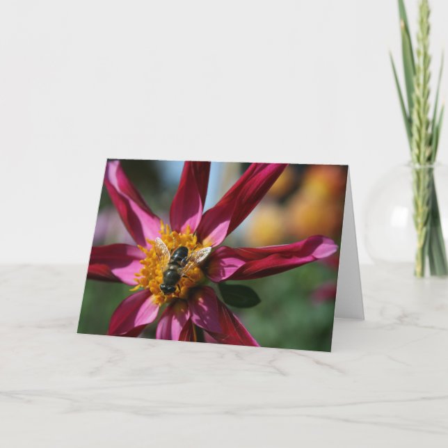 Tarjeta en blanco de la dalia y de la abeja (Anverso)