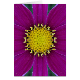 Tarjeta en blanco de la flor
