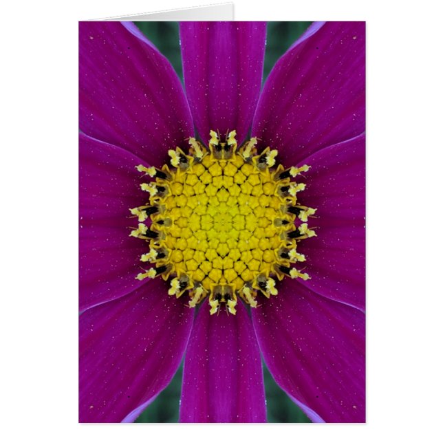 Tarjeta en blanco de la flor (Frente)