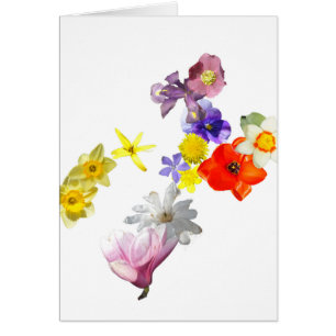 Tarjeta en blanco de la flor