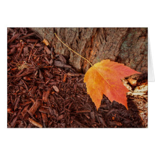 Tarjeta en blanco de la hoja del otoño