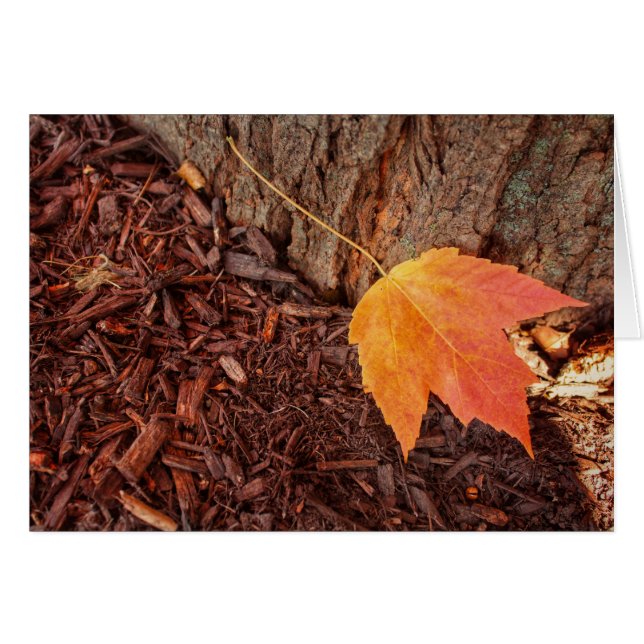 Tarjeta en blanco de la hoja del otoño (Anverso (Horizontal))