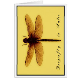 Tarjeta en blanco de la libélula