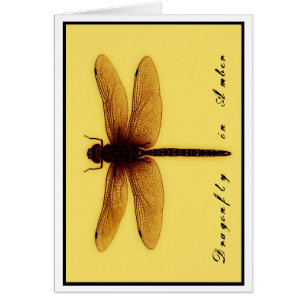 Tarjeta en blanco de la libélula