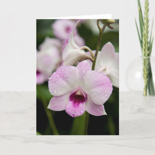 Tarjeta en blanco de la orquídea púrpura