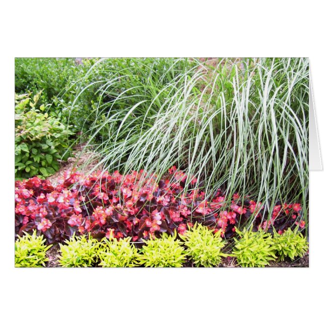 Tarjeta en blanco de las flores vivas (Anverso (Horizontal))