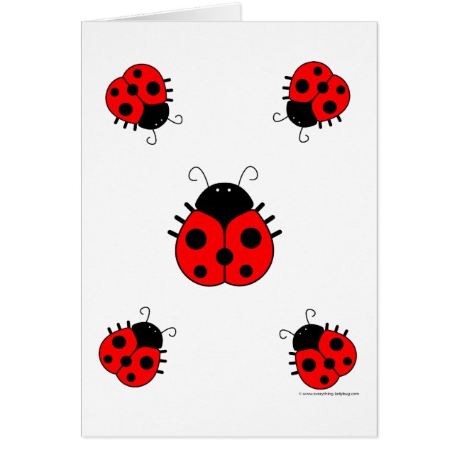 Tarjeta en blanco de las mariquitas (Frente)