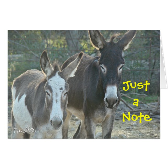 Tarjeta en blanco de las mulas (Anverso (Horizontal))