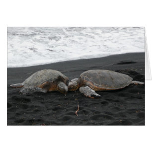 "Tarjeta en blanco de las TORTUGAS de MAR"