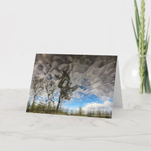 Tarjeta en blanco de los árboles de la roca del