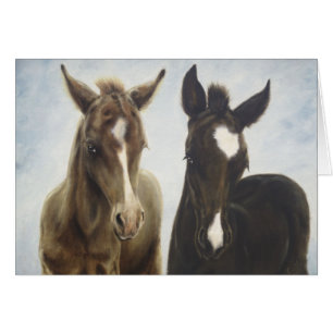 Tarjeta en blanco de los potros