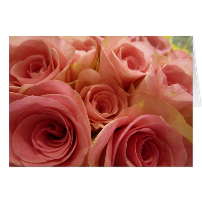 Tarjeta en blanco de los rosas (Anverso (Horizontal))