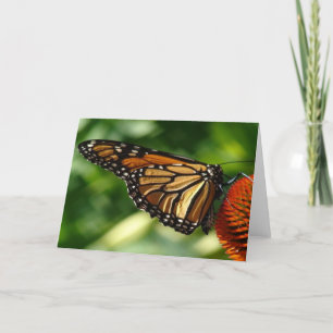 Tarjeta en blanco de mariposa