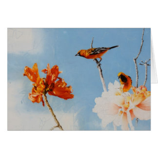 Tarjeta en blanco de Oriole de Andrew Denman