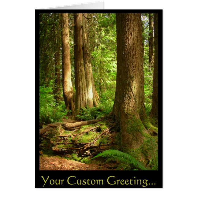 Tarjeta en blanco de paisajes forestales bellas ta (Frente)