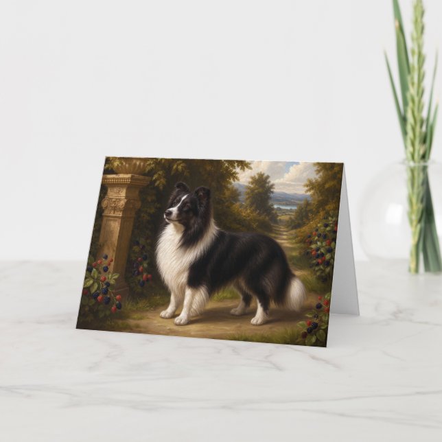 Tarjeta en blanco de perro de pastor de las Shetla (Anverso)