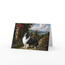 Tarjeta en blanco de perro de pastor de Shetland r
