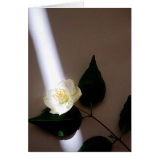 Tarjeta en blanco de personalizable