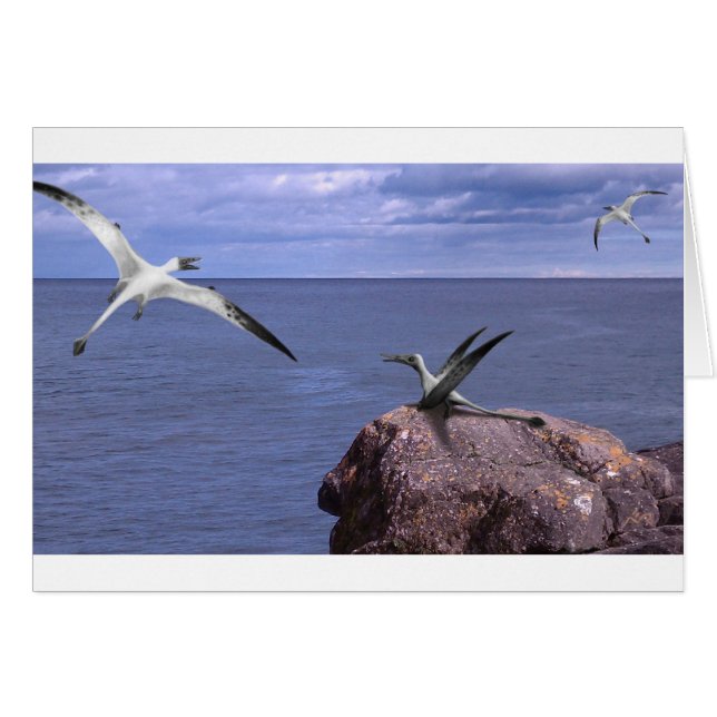 Tarjeta en blanco de Rhamphorhynchus (Anverso (Horizontal))